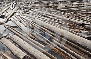 Log Jam of Tree Trunks Floting on a River