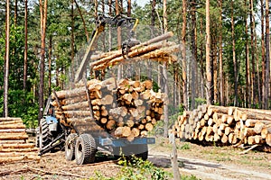 Log loader or forestry machine loading its body