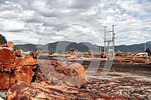 The log loader moves logs at Dryland Log Sort in the village of Sayward in Canada