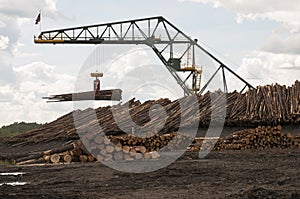 Log moving crane at lumber mill