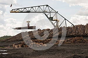 Log moving crane at lumber mill photo