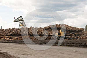 Log moving machines at lumber mill