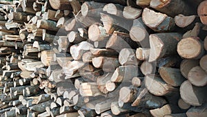 a log neatly arranged for firewood photo