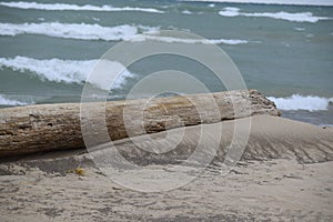 Log Overlooking Lake Michigan