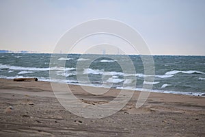 Log Overlooking Lake Michigan