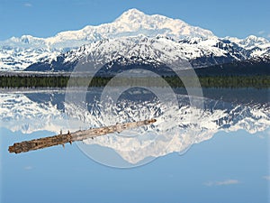 A Log in Peaceful Lake Beneath Mt. McKinley photo