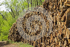 Log pile for deforestation concept. Sadness and death of animal