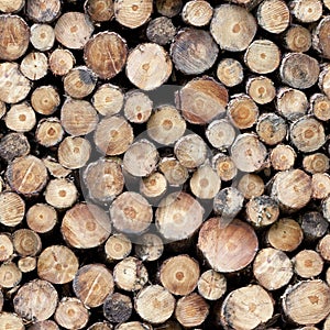 Log Pile Seamless Repeating Background