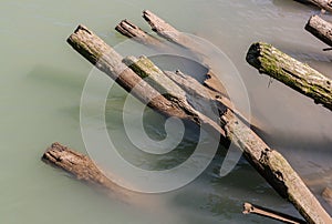 Log Piles in Steveston