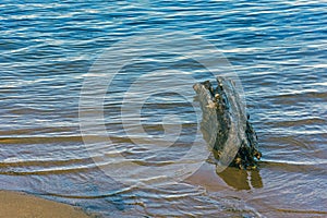A log rests on the shoreline of Lake Superior
