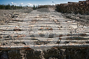 Log road (plank road