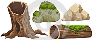 Log and rocks with moss on top