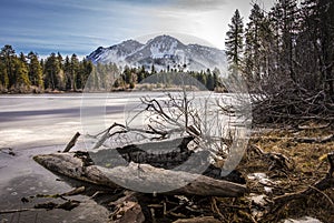 Log on Shoreline, Lassen National Park photo