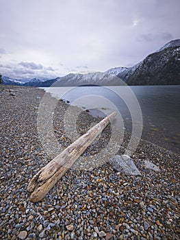 Log on shoreline of Pend Oreille Lake