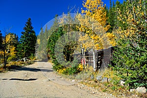 Log Shotgun Cabin Shack In Fall with Changing Leaves and a Dirt