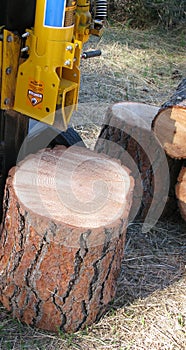 Log splitter photo