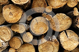 Log stack, wood background