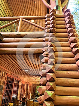 Log structure in Memphis zoo