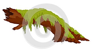 Log, stump in moss. Cartoon tree lichen in swamp jungle. Broken oak in tropical damp forest. Isolated vector design