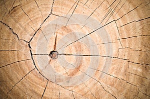 Log surface pattern background