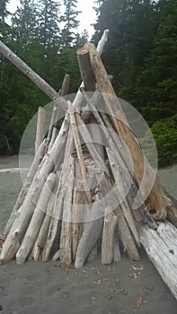 Log tee pee