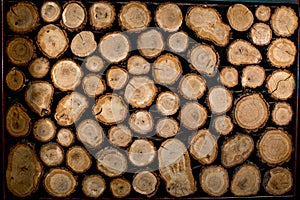 Log texture