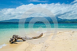 Log on tropical island beach