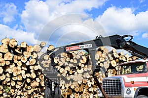 Log Truck with Loader in Front of Pulp Pile