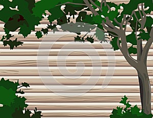 Log Wall with Tree