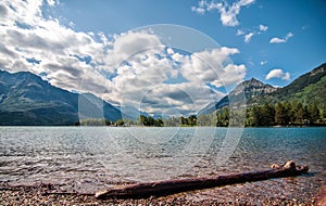 Log on Waterton Lake With Mountains