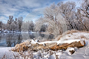 Log on the winter river