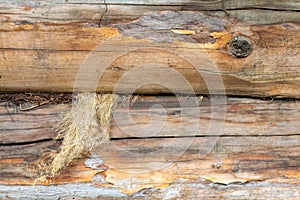 A log of wood. Old and cracked. The surface is rough and uneven.