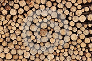 Log wood pile