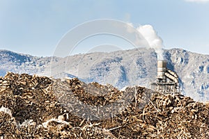 Log and wood piles in industrial furniture factory.