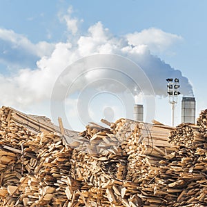 Log and wood piles in industrial timber factory.