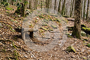 Log Wooden Bench by a Trail