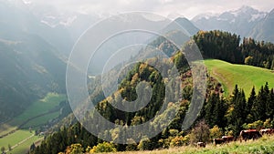 Logar Valley and cows, Slovenia