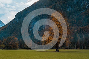 Logar valley or Logarska dolina in the Alps of Slovenia in autumn