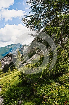 Logar valley or Logarska dolina, Slovenia, Europe. Hiking in savinja Alps and Slovenia mountain. Popular site for a hike in trigl