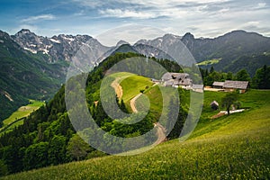 Logar valley view and slopes with colorful wildflowers, Slovenia