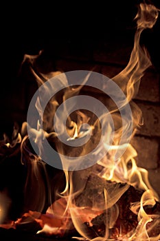 Logfire in fireplace