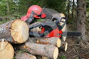 Logger equipment with cut trees photo