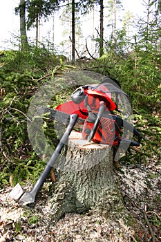 Logger equipment in forest