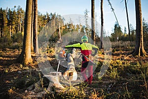 Logger man cutting a tree with chainsaw. Lumberjack working with chainsaw during a nice sunny day. Tree and nature. People at work