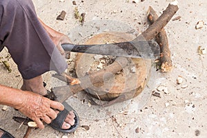 Logger man cutting wood.