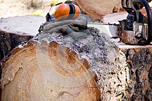 Logger Safety