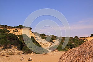 Loggerhead sea turtle nesting site beach