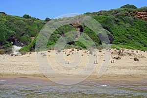 Loggerhead sea turtle nests (Caretta Caretta) - Zakynthos Island, landmark attraction in Greece