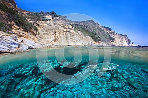 Loggerhead at zakynthos