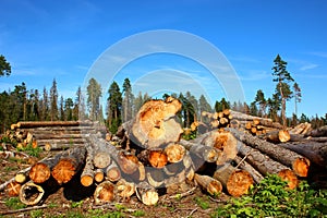 Logging